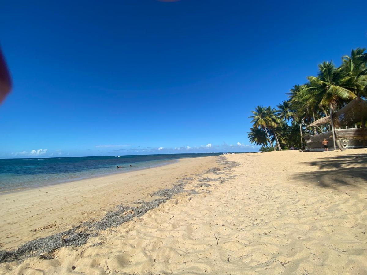 Las Terrenas Beachfront 2 Bedrooms Condo With Pool Exteriör bild